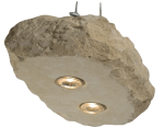 bis24