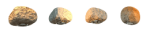 zero29